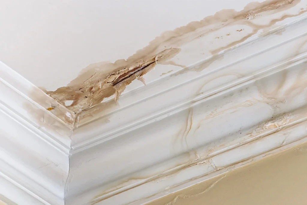 Leaky roof Roofing for Troops
