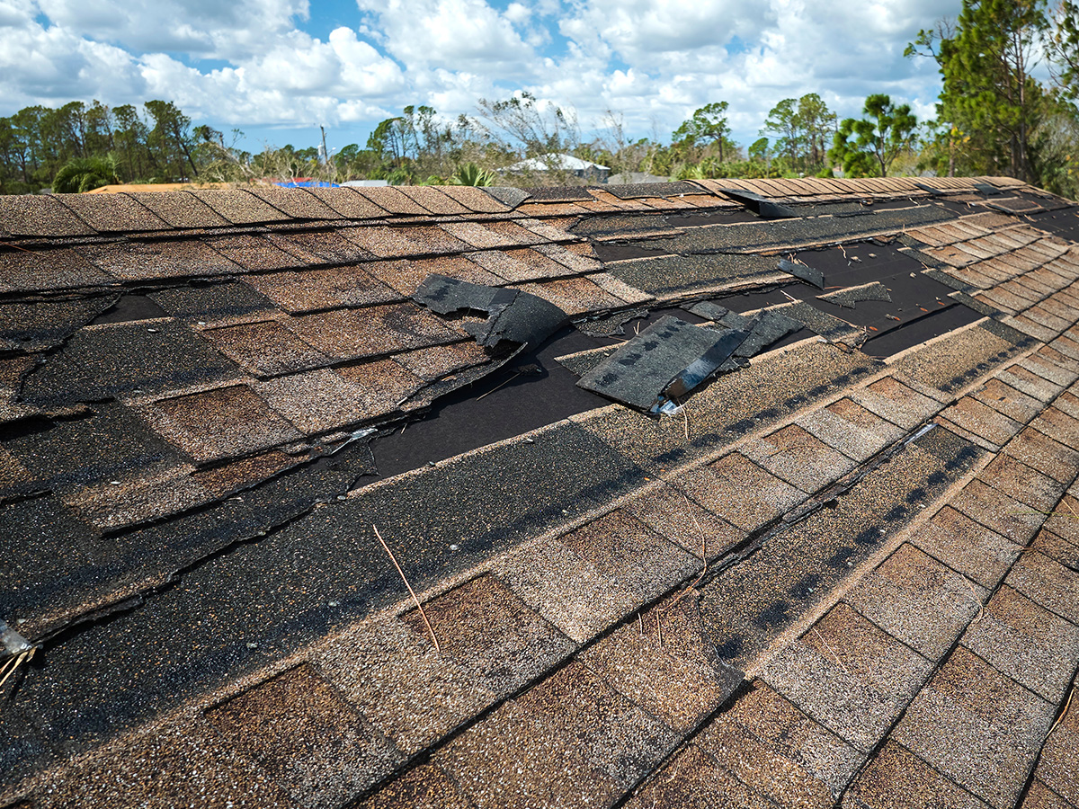 Black Streak Damage Roof Shingles