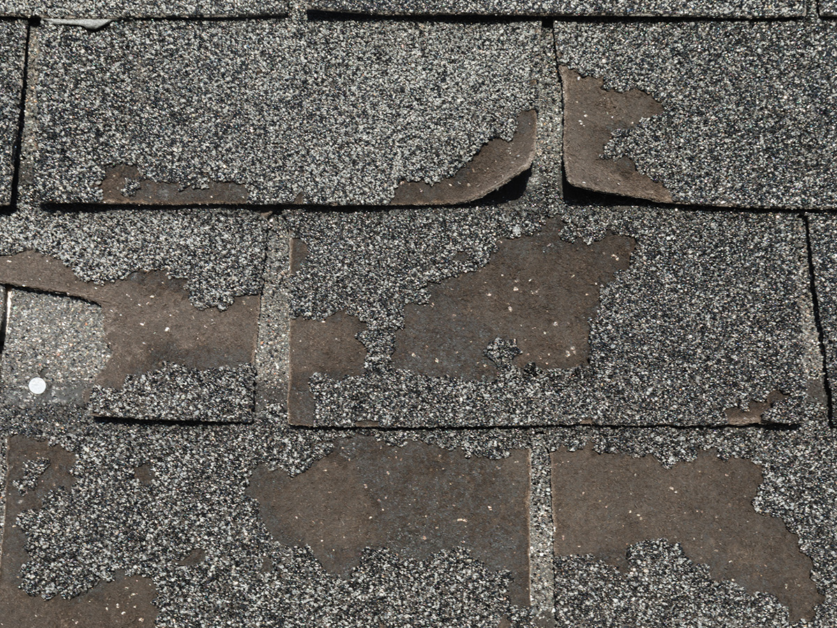 Damaged Roof Shingles